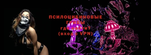 молекула духа Пересвет