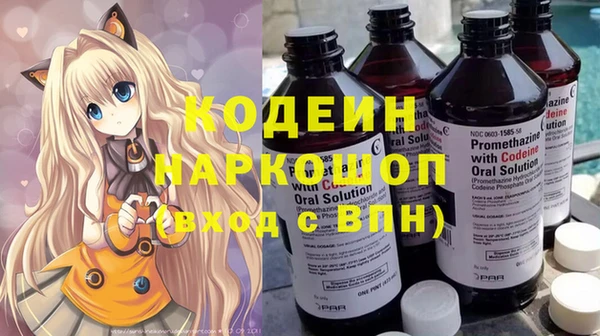 молекула духа Пересвет