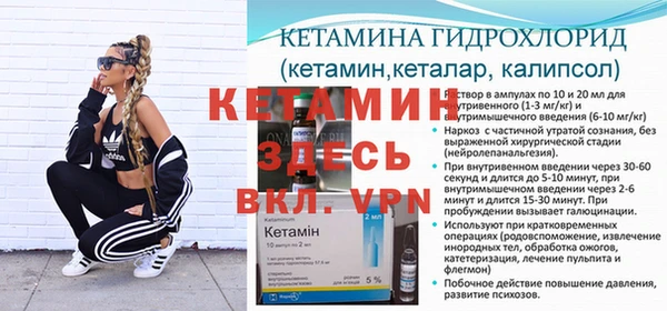 молекула духа Пересвет