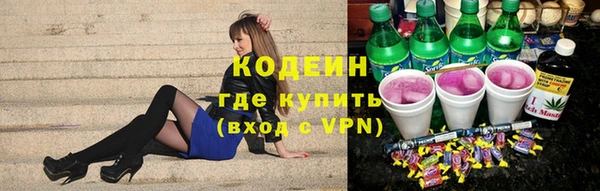 молекула духа Пересвет