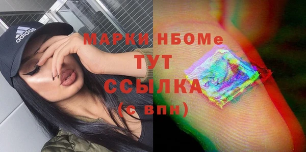 молекула духа Пересвет