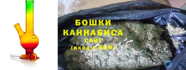 молекула духа Пересвет