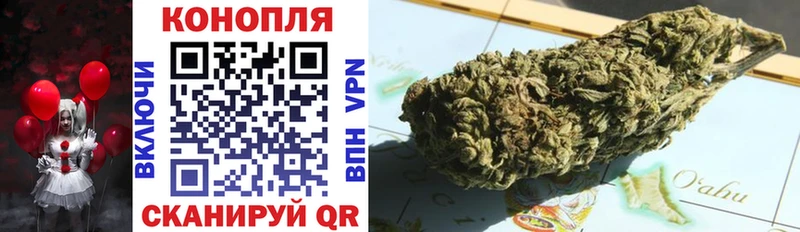 магазин продажи   Шали  Конопля семена 